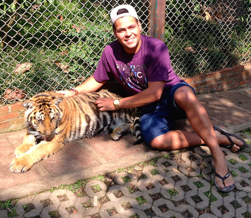 Tiger Kingdom Chiang Mai Thailand