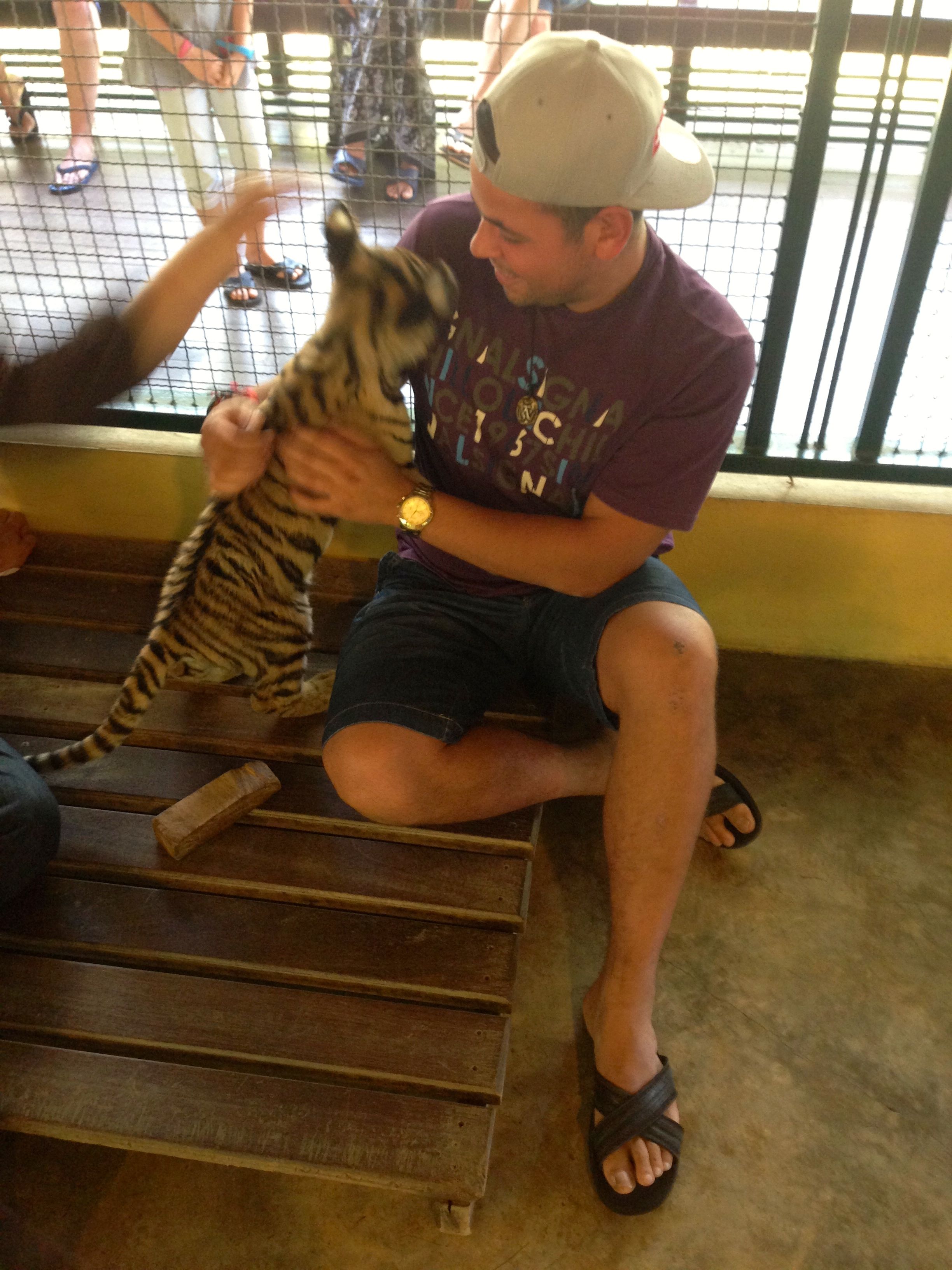 Tiger Kingdom Chiang Mai Thailand